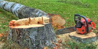 Best Tree Removal Services  in Grantsville, UT